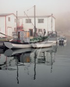 Quidi Vidi